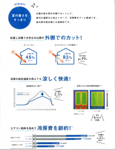 ｽﾀｲﾙｼｪｰﾄﾞ