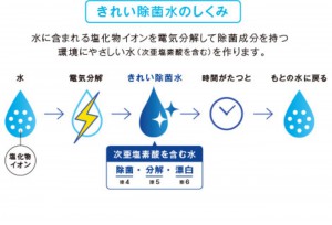 きれい除菌水